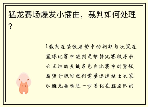 猛龙赛场爆发小插曲，裁判如何处理？
